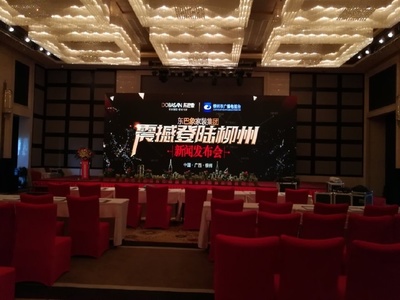 東巴象家裝集團柳州新聞發布會成功舉辦，引領家居定制新篇章