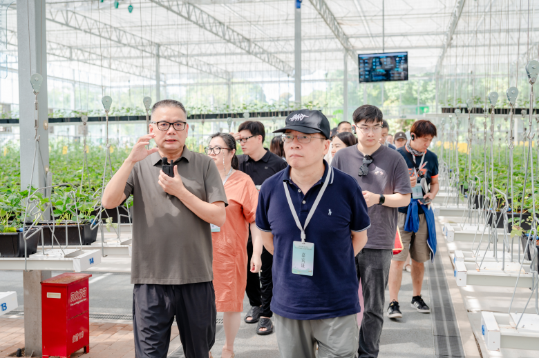 太美了！2025世界溫州人文藝家赴楠溪江創(chuàng)作采風(fēng)紀(jì)實(shí)